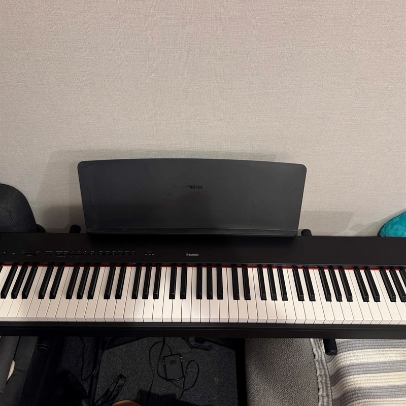 YAMAHA P-225Bの画像